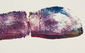 «¿Qué goces están en juego en el FPS?»