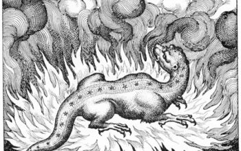 «Plenario 7 de setiembre 2020»