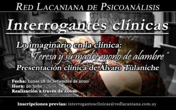 «Teresa y su madre mono de alambre»