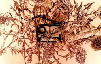 «La conciencia trágica de la vida, la muerte».