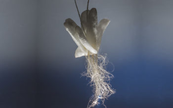 «Plenario 22 de mayo 2023»