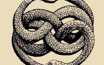 «Plenario 09 de setiembre 2024»