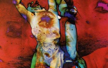 «Plenario 14 de julio 2025»